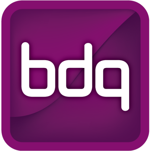 Logo représentant la société Business Data Quality Limited
